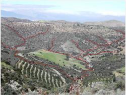Hydrological network