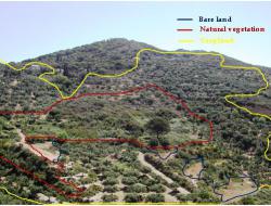 Mapping land use