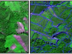 Segmentation method for vegetation cover