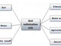 Indicators affecting soil salinization risk