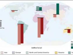 Annual change in forest area by region 1990–2010