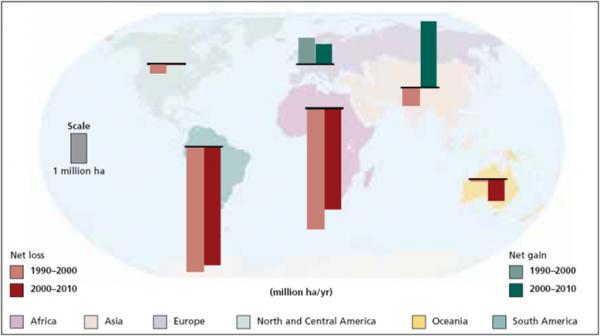 Annual change in forest area by region 1990–2010