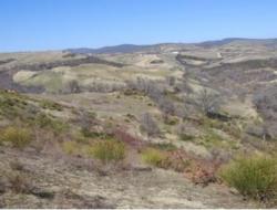 09-332fig20