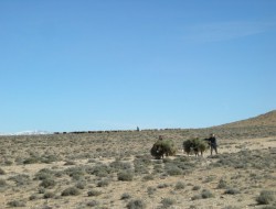 Clearing rangelands 1