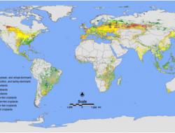 Global map of rainfed cropland areas