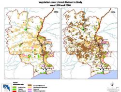 Forest vegatation cover, Baixo Guadiana, 1990 and 2006