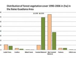 Distribution of forest cover, Baixo Guadiana