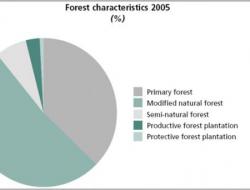 Forest characteristics