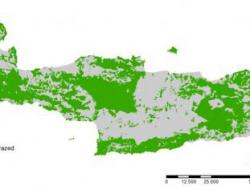 Distribution of natural pasture in Crete study site