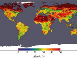 Albedo of the Earth's terrestrial surface