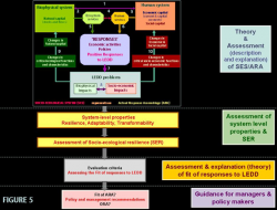 LEDDRA conceptual framework