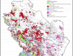 Basilicata Region forest map
