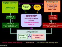 Schematic representation of a SES