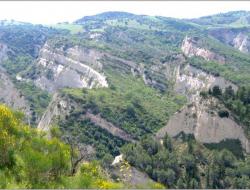 Mediterranean pine afforestation in Calanchi badlands