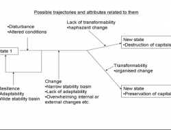 Evolution of a SES