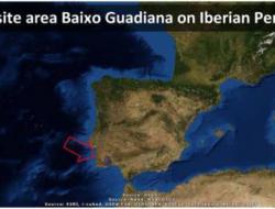 Baixo Guadiana study site