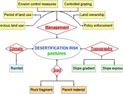 Desertification risk in pastures
