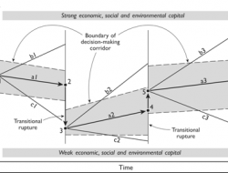 Pathwaya and ruptures affecting decision making