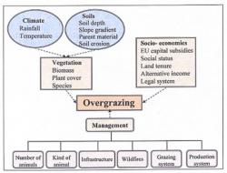 Environmental and socio-economic characteristics associated with overgrazing