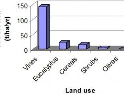 Soil erosion rates under different land uses
