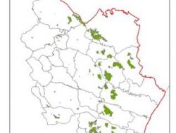 Afforestation in Calanchi areas
