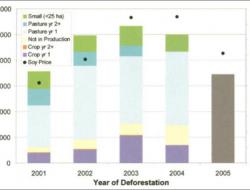 Trends in land use after deforestation, Mato Grosso, Brazil