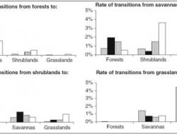 Rate of transitions between vegetation patch-type