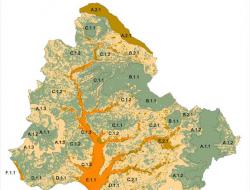 Soil capital value