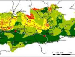 Soil capital 1970-mid1980