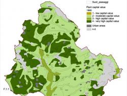 Vegetation capital 1960