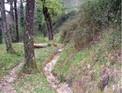 Rudimentary irrigation canals
