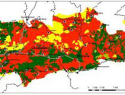 Vegetation capital 1970-mid1980