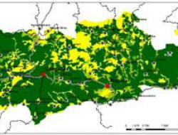 Vegetation capital mid1980-2010