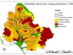 Suitability for oranges: 1960