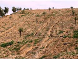 Erosion caused by tillage