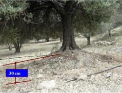 Measurement of soil loss