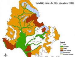 Suitability for olive plantations: 2000