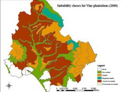 Suitability for vines: 2000