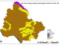 Drought resistance in cereals: 2000