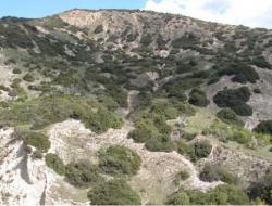 Fig14