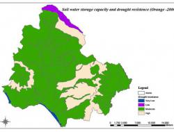 Drought resistance in oranges: 2000
