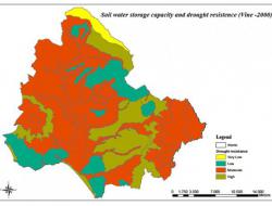 Drought resistance in vines: 2000