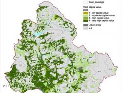 Vegetation capital: 2010
