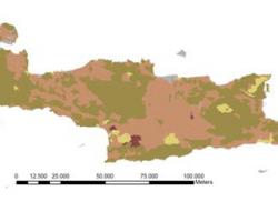 Soil order map