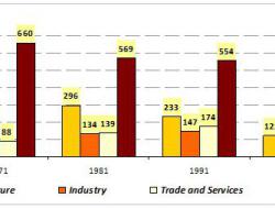 Employment by sector