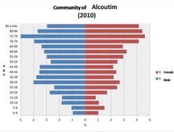 Population pyramid