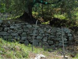 Collapsing terraces