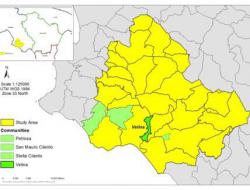 Velina community