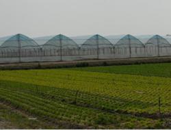 Intensive agriculture