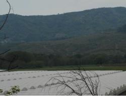 Greenhouses